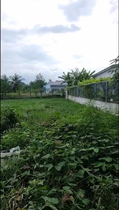 Đất nền Vĩnh Hựu Gò Công Tây 205m² giá chỉ 360 triệu - Đường xe hơi tới đất!