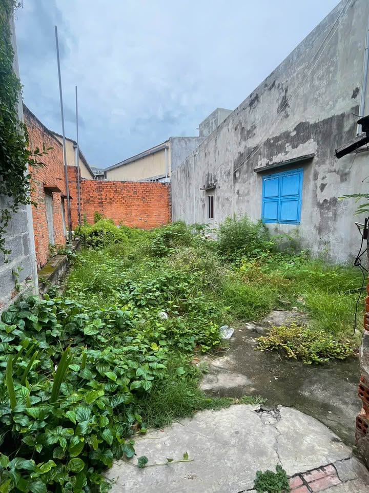 Đất thổ cư Mậu Thân, Phan Thiết 58.9m² giá 980 triệu - Vị trí vàng trung tâm!