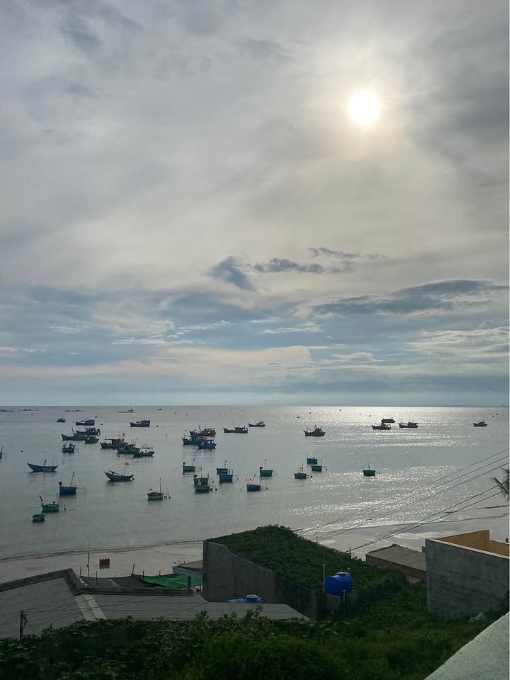 Đất thổ cư 520m² tại Khu Cây Me, Phan Thiết - Giá chỉ 2.2 tỷ