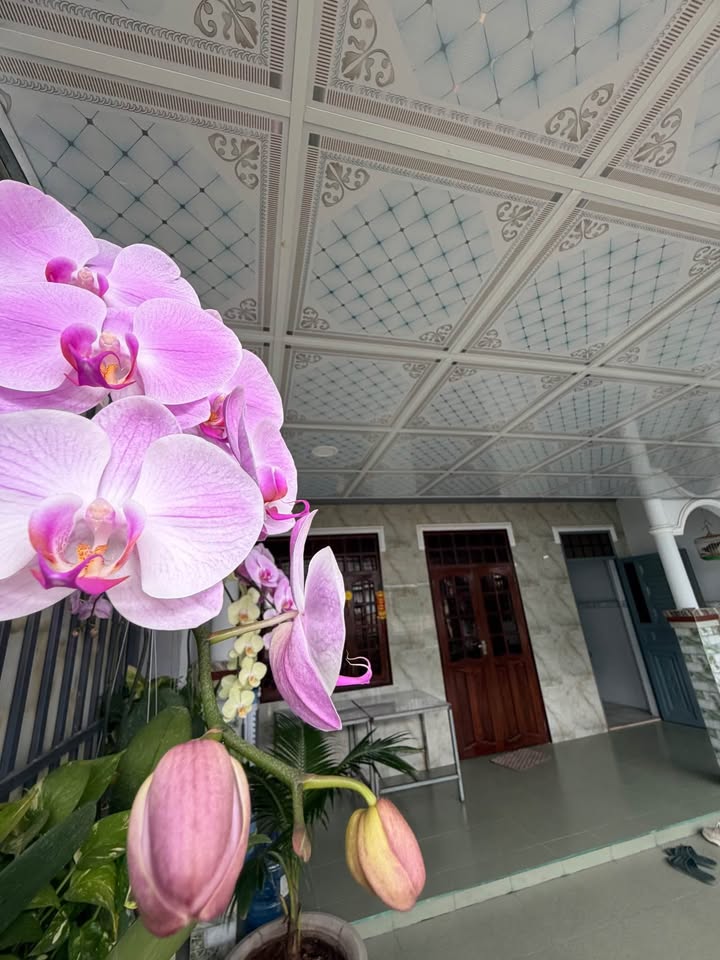 Nhà hẻm Hải Thượng Lãn Ông Phú Tài 150m² giá 1.5 tỷ - Sẵn sàng vào ở ngay!