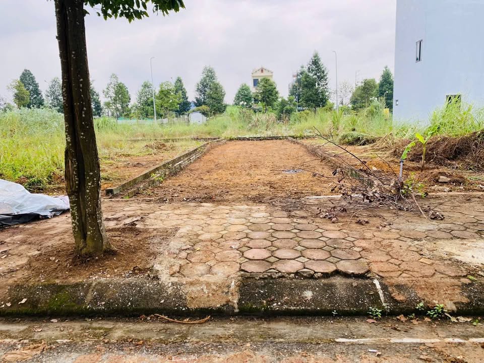 Đất tái định cư Đại học Quốc gia 100m² giá 5 tỷ - Cơ hội đầu tư hấp dẫn!