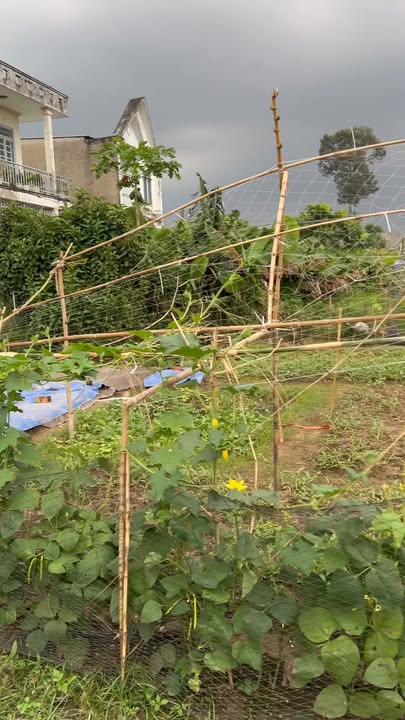 Đất nền Tân Uyên 142m² giá 1.2 tỷ - Vị trí đẹp gần cầu Ông Tiếp!