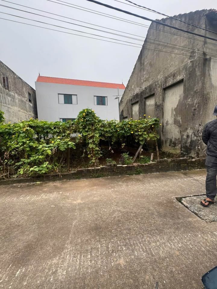 Đất nền Vân Tảo Thường Tín 84m² giá 3.074 tỷ - Đầu tư sinh lời hiệu quả!