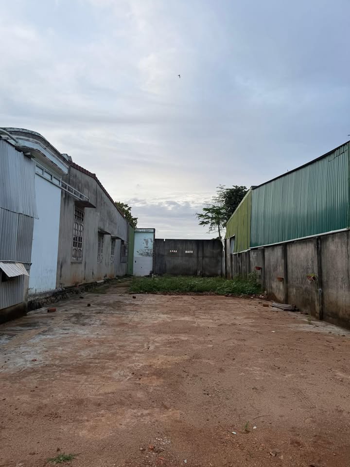 Đất thổ cư 168m² tại thị trấn Quảng Phú - Giá chỉ 1.393 tỷ!