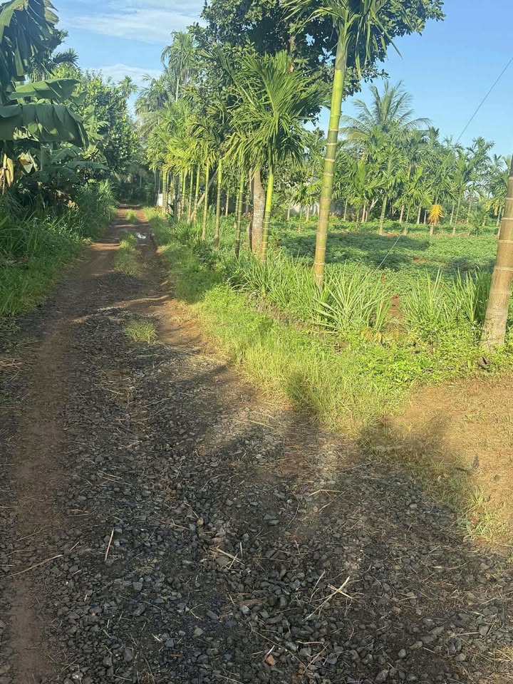 Đất nền Cư Suê 7000m² giá 2.8 tỷ - Đường hai mặt thuận tiện