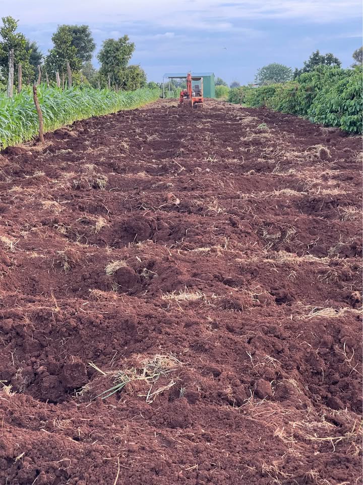 Đất nền Cư M'gar Đắk Lắk 1200m² - Hai mặt tiền, cách chợ Quảng Phú chỉ 2.5km!