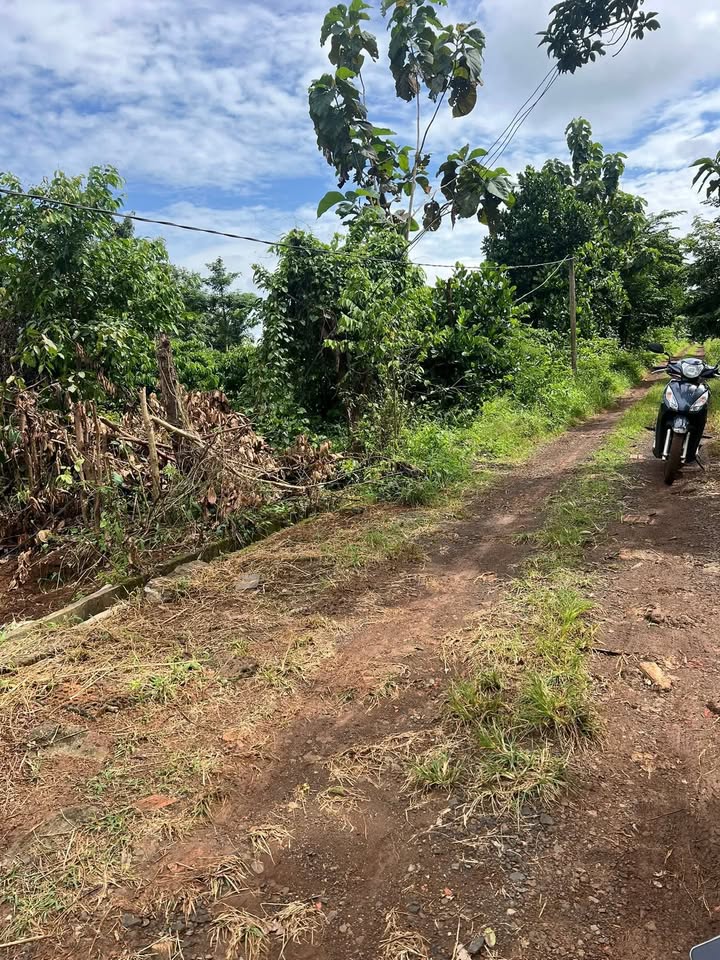 Đất nền Cư Suê 7000m² giá 2.8 tỷ - Đầu tư sinh lời ngay!