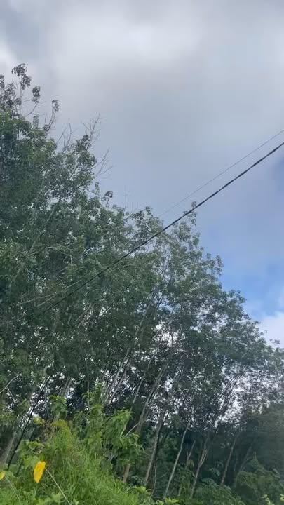 Đất nền Tân Tiến Đồng Phú 250m² giá 200 triệu - Đầu tư sinh lời lý tưởng!