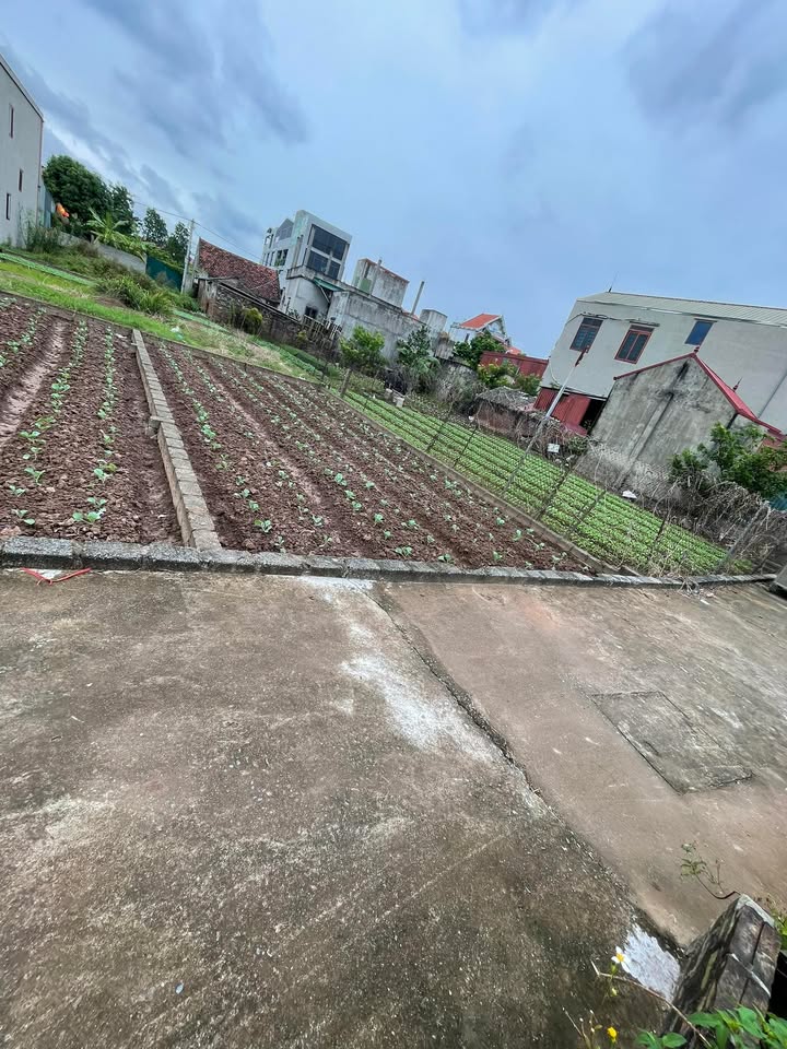 Đất nền Tự Nhiên Thường Tín 43.5m² giá 1.87 tỷ - Cơ hội đầu tư không thể bỏ lỡ!