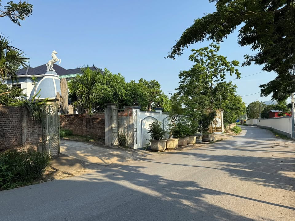 Đất thổ cư 124m² mặt tiền đường lớn tại Quang Sơn, Lập Thạch - Chỉ 800 triệu!