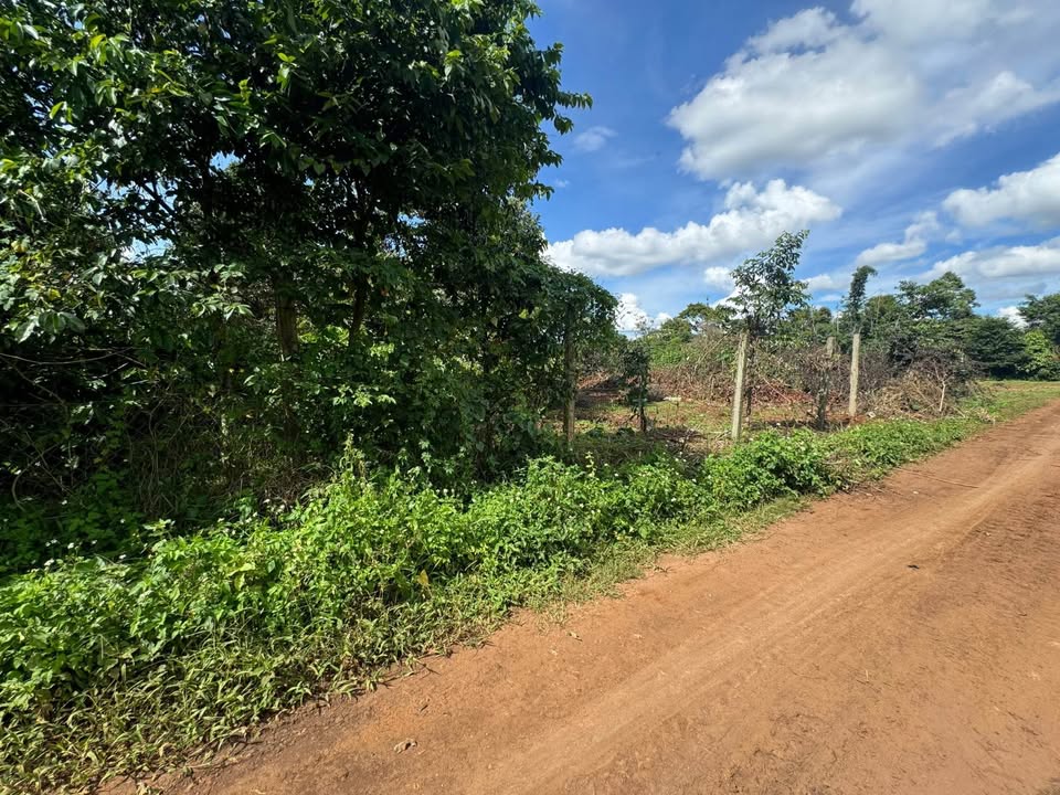 Đất nền Hòa Đông Krông Pắc 267m² - Giá cả thương lượng hấp dẫn!