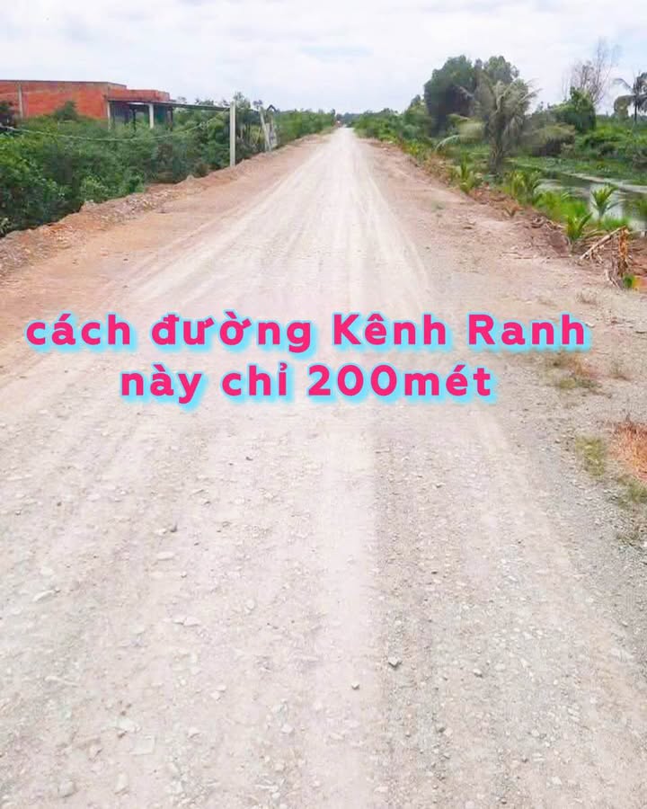 Đất vườn mặt tiền Kênh 7, xã Tân Thành, 1177m² giá chỉ 750 triệu - Cơ hội đầu tư hấp dẫn!