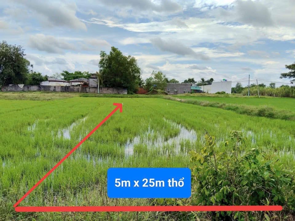 Đất nền Hòa Khánh Đông, Đức Hòa 125m² giá 550 triệu - Đường xe hơi tới đất!