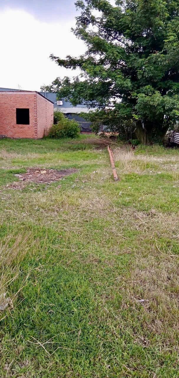 Đất thổ cư Mỹ Hạnh Nam Đức Hòa 155m² giá 790 triệu - Sổ hồng riêng