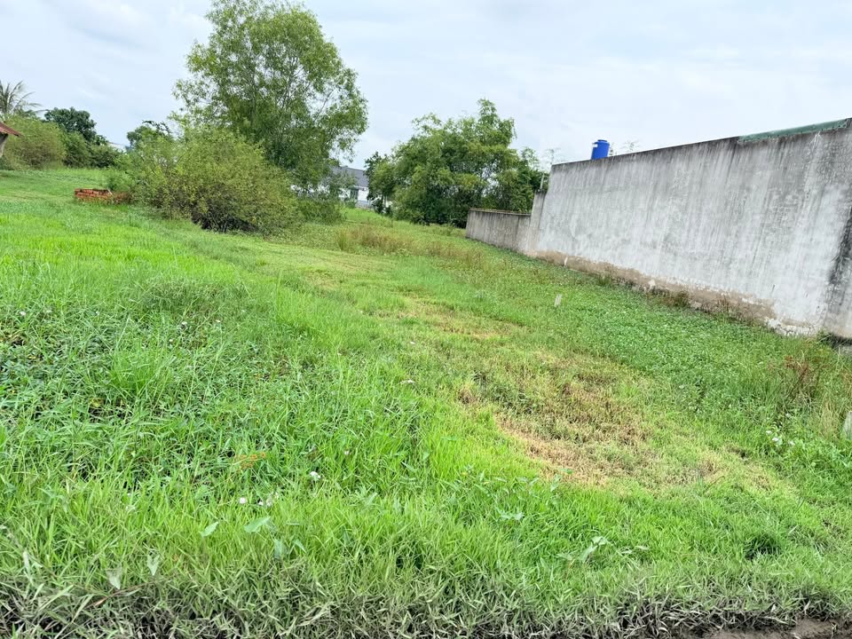 Đất thổ cư Hòa Khánh Tây 205m² giá 950 triệu - Sổ hồng riêng chính chủ!