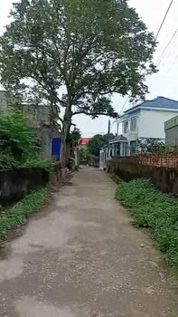 Đất thổ cư 98m² phường Quảng Cư – Sổ đỏ chính chủ, giá chỉ 920 triệu!