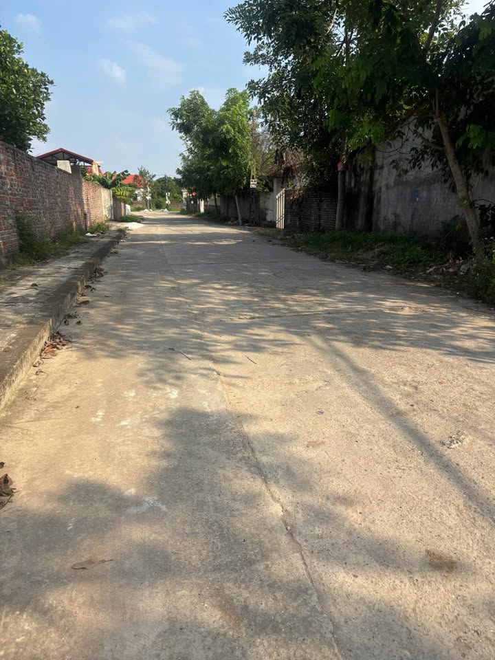 Đất nền xã Danh Thắng, Hiệp Hòa 179.2m² giá 1.6 tỷ - Cơ hội đầu tư hiếm có!