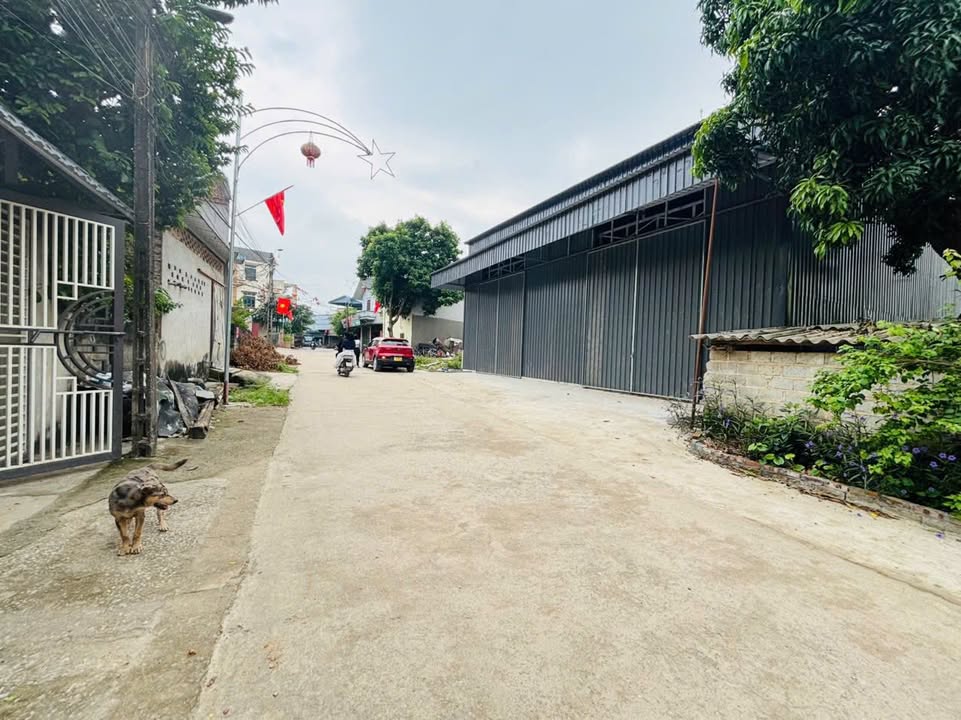 Đất nền Chương Mỹ 217m² giá 8 tỷ - Mặt đường lớn, cơ hội đầu tư hiếm có!