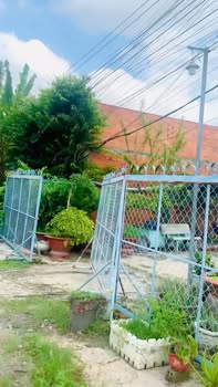 Đất thổ cư Hẻm 13 Tôn Đức Thắng, Long Thành Nam 504m² giá 1.85 tỷ - Cơ hội đầu tư hấp dẫn!