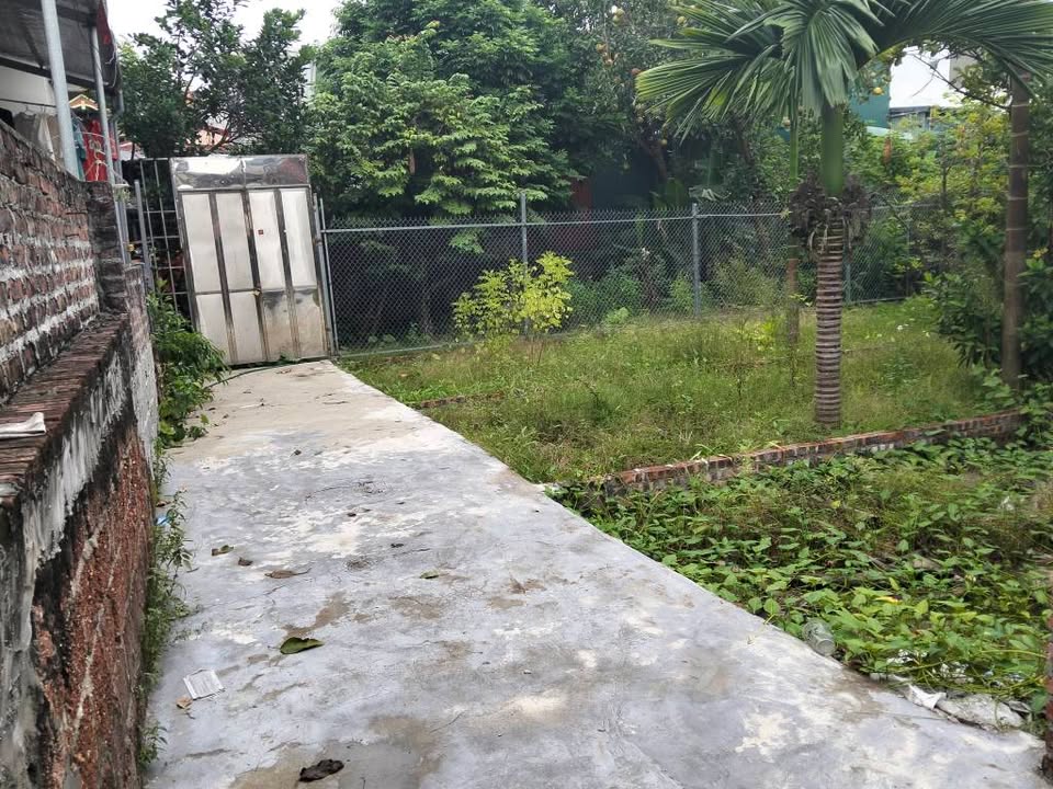 Đất Ninh Sở Thường Tín 40m² giá 2.6 tỷ - Ngõ thông ô tô vào tận nơi!