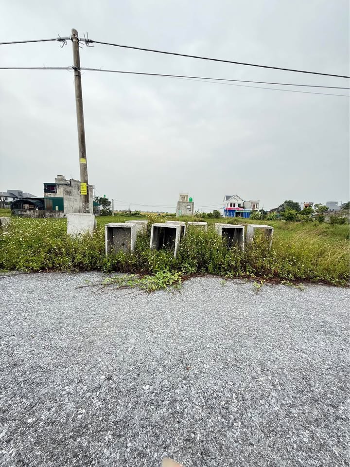 Đất nền Đồng Minh, Vĩnh Bảo 100m² giá chỉ 1.55 tỷ - Mặt đường 13m rộng rãi!