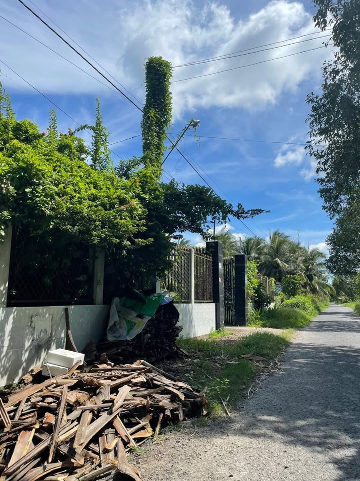 Đất vườn Hiếu Phụng, Vũng Liêm 1.000m² giá 1.7 tỷ - Khuôn viên thoáng mát, tiện nghi đầy đủ!