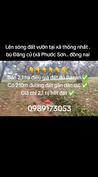 Đất vườn Thống Nhất, Bù Đăng 2,1ha giá 2,1 tỷ - Cơ hội đầu tư hấp dẫn!