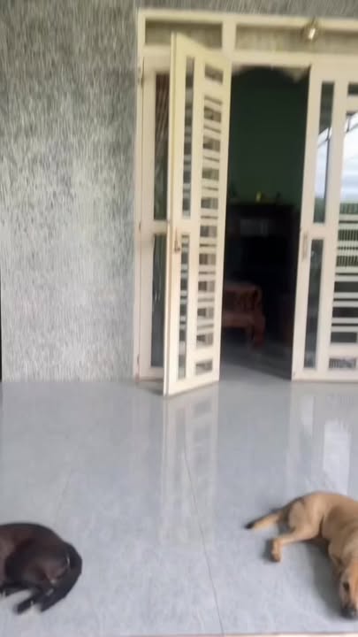 Nhà 3 phòng ngủ khu phố 12, phường Minh Hưng 294m² - Chính chủ bán gấp!