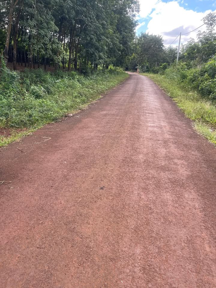 Đất nền 1ha Ấp 7 Lộc An giá 2.05 tỷ - Đầu tư sinh lời hấp dẫn!