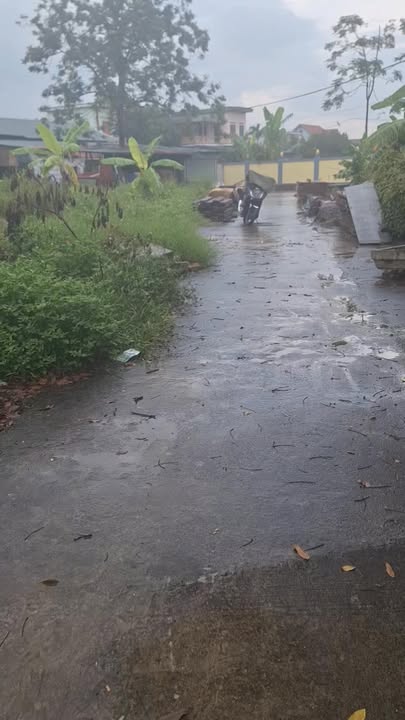 Đất nền liền kề tại Bồ Dương, Hồng Phong, Ninh Giang - Diện tích 91m², giá thỏa thuận!