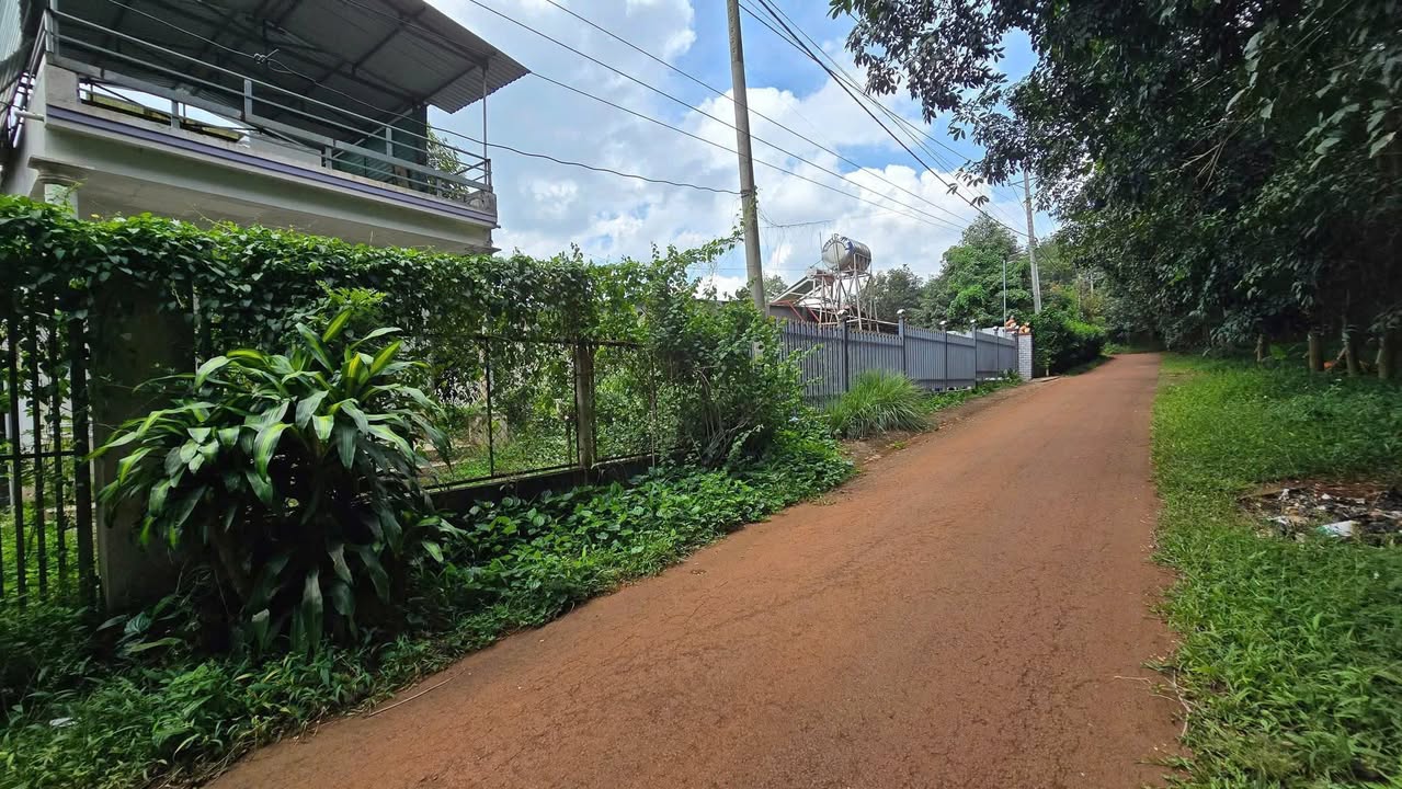 Đất vườn 3800m² tại Nhân Nghĩa, Cẩm Mỹ - Giá chỉ 1.6 tỷ - Đầu tư lý tưởng!