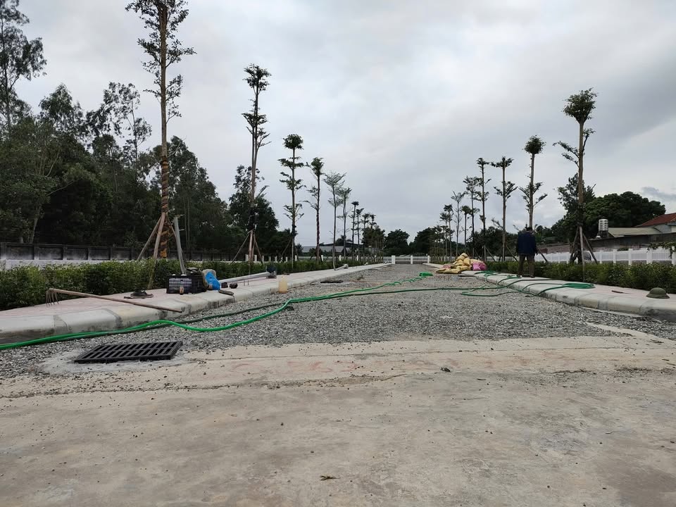 Đất nền dự án Minh Phú Sóc Sơn 103m² giá 3.2 tỷ - Cơ hội đầu tư hấp dẫn!