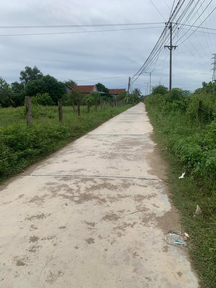 Đất nền Tân Định Ninh Hòa 5000m² giá thỏa thuận - Cơ hội đầu tư hấp dẫn!