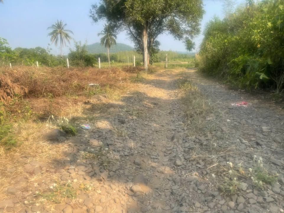 Đất nền 1014m² tại ấp 3 Gia Canh, Định Quán - Đường ô tô vào tận nơi!