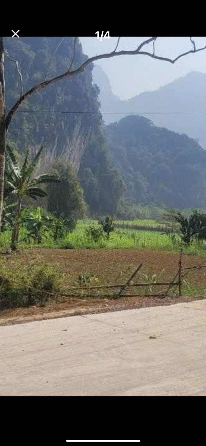 Đất nền Tân Lạc Hòa Bình 3262m² giá 1.6 tỷ - Lô đất yên bình giữa thiên nhiên!