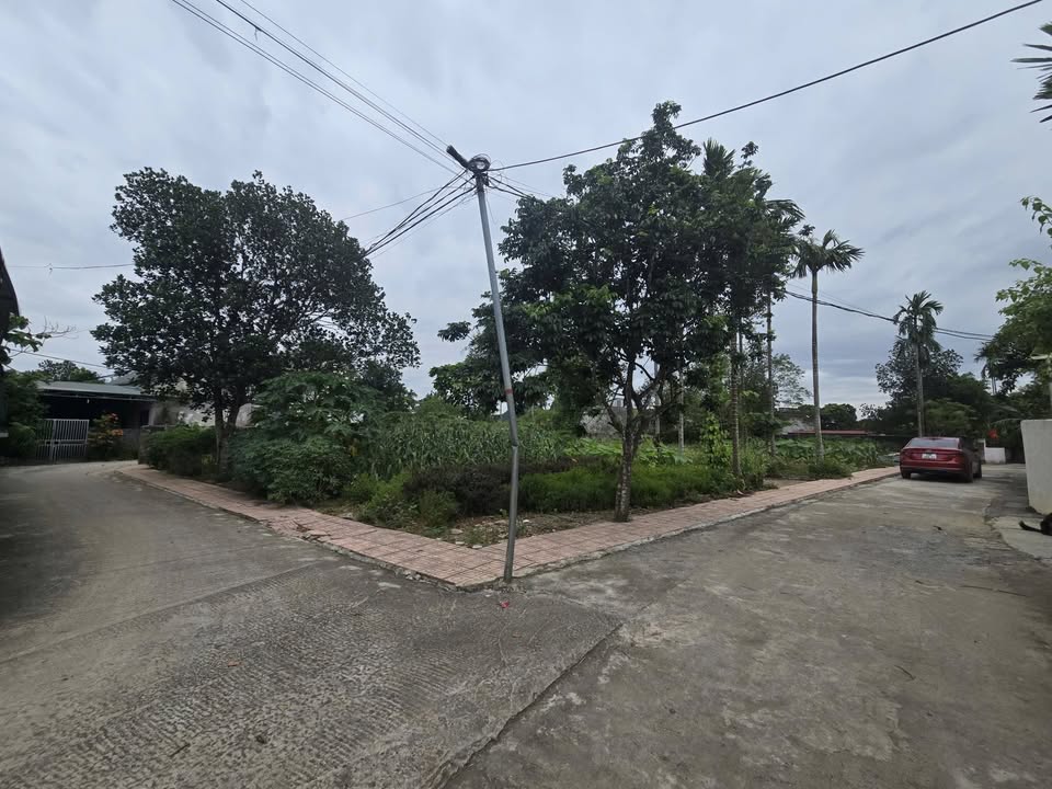 Đất nền Nhuận Trạch 170m² giá 1.7 tỷ - Cơ hội đầu tư tuyệt vời!