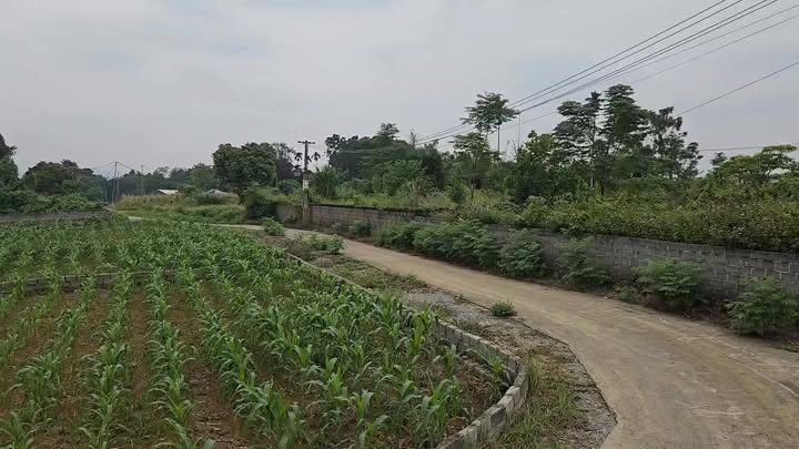 Đất thổ cư Cư Yên, Lương Sơn 430m² giá 4 tỷ - View hồ đẹp mê ly!