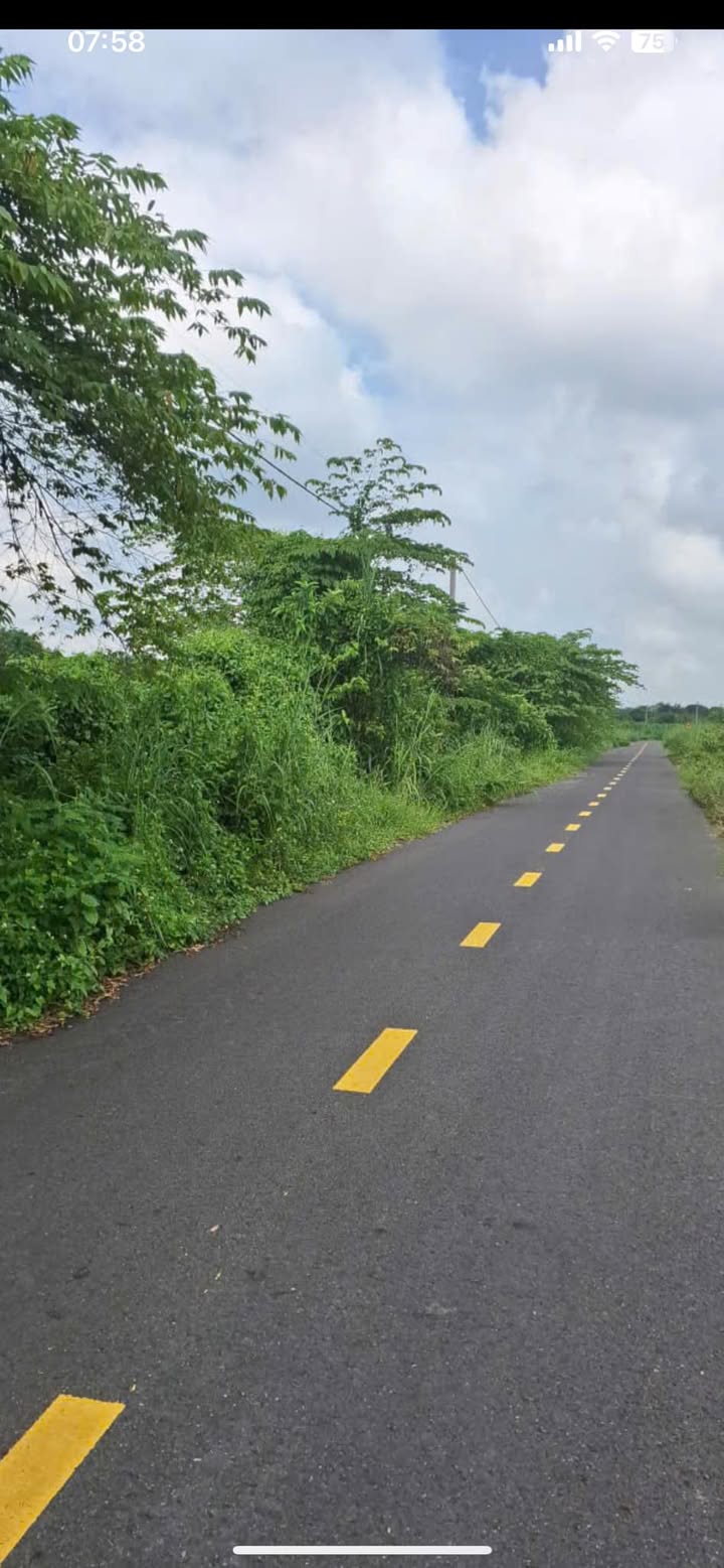 Đất mặt tiền đường nhựa 10400m² tại An Nhơn Tây, Củ Chi - Giá thỏa thuận hấp dẫn!