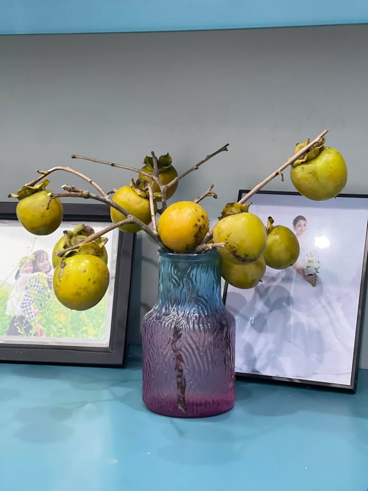 Đất nền Khu dân cư Xuân Tiên, Triệu Sơn 108m² - Giá đầu tư hấp dẫn!