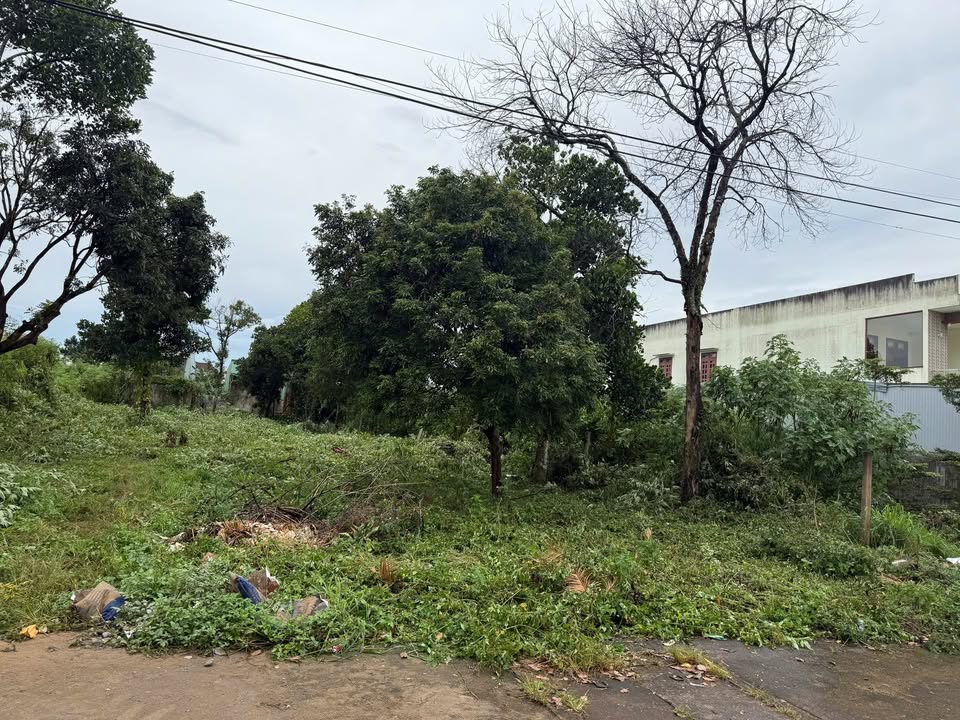 FrontHouse mặt tiền đường Âu Cơ, Thắng Lợi, Pleiku 375m² giá 2 tỷ - Cơ hội kinh doanh tuyệt vời!