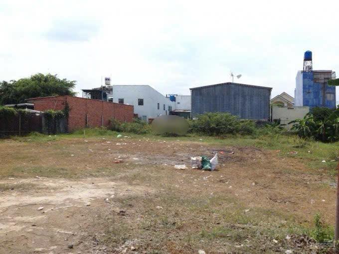 Lô đất cho thuê quận Sơn Trà 1000m² giá 10 triệu - Phù hợp cho kinh doanh đa dạng!