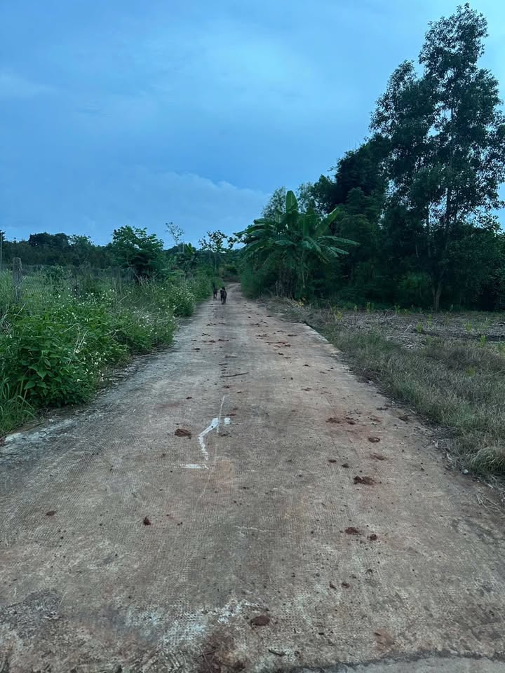 Đất vườn Xuân Tâm, Xuân Lộc 900m² giá 1.5 tỷ - Đầu tư sinh lời cho tương lai!