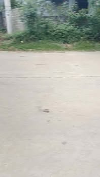 Đất nền Cự Đồng, Thanh Sơn, Phú Thọ 705m² - Mặt tiền 16,29m, vị trí đẹp dễ thanh khoản!