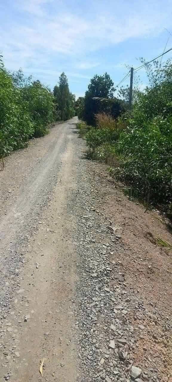 Đất nền 24 công tại xã Thủy Đông, Thạnh Hóa - Giá 3.12 tỷ - Đường xe hơi vào tận nơi!