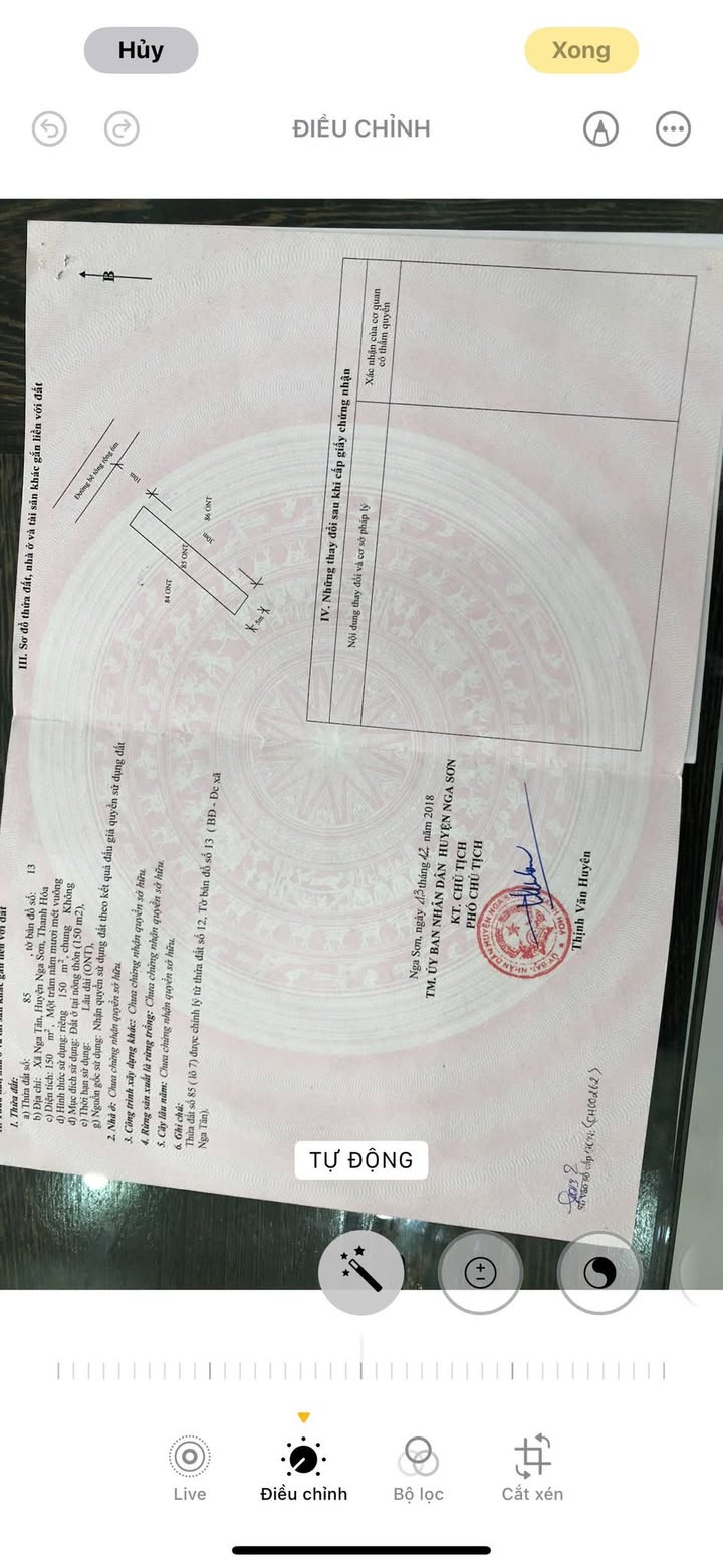 Đất nền liền kề tại Nga Tân, Thanh Hóa - 150m² chỉ 800 triệu - Đầu tư sinh lời ngay!