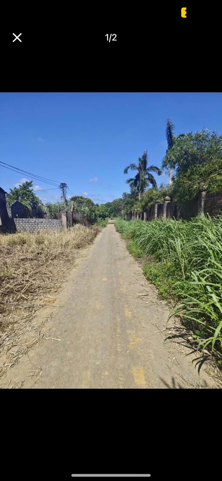 Đất nền thôn 3 xã Phú Long Nho Quan 100m² giá 600 triệu - Khu vực du lịch sinh thái lý tưởng!