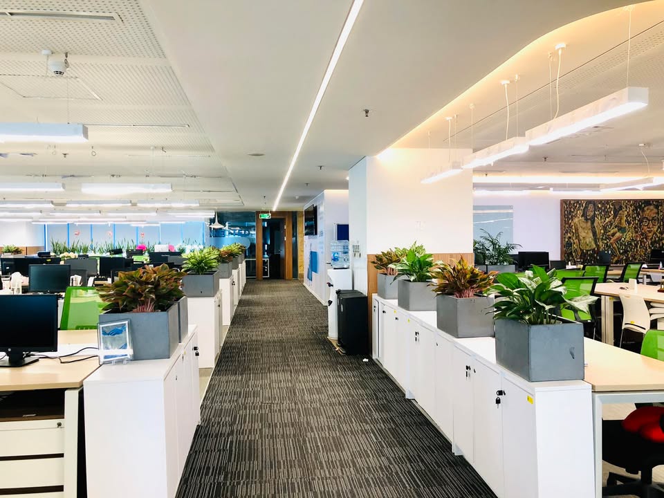 Cho thuê văn phòng Diamond Flower Tower 300m² giá 70 triệu - Không gian sang trọng, hiện đại!