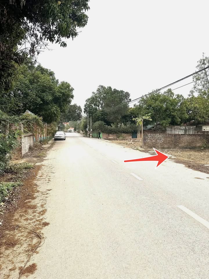 Đất nền Flamingo Đại Lải 488m² giá 8.533 tỷ - Cơ hội đầu tư hấp dẫn!