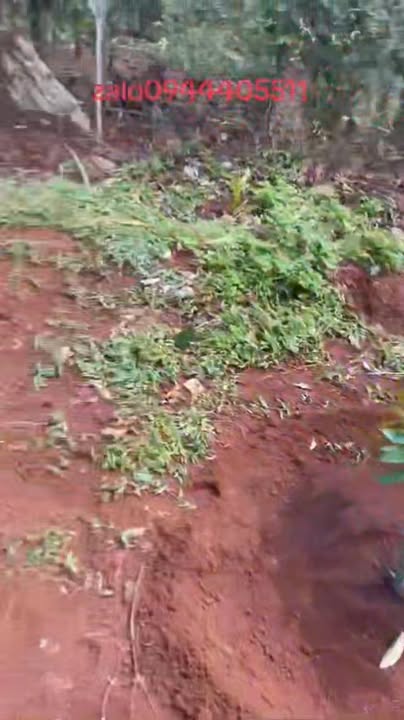 Đất nền Pơng Drang 529m² giá 848 triệu - Sân vườn và hồ nuôi cá lý tưởng!