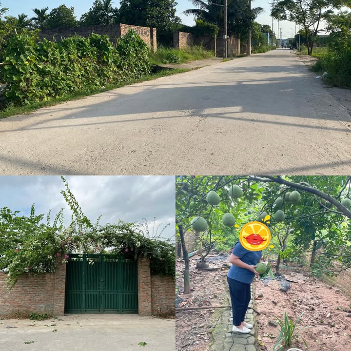 Đất vườn An Khánh 340m² giá chỉ 2 tỷ - Thiên đường nghỉ dưỡng mini!